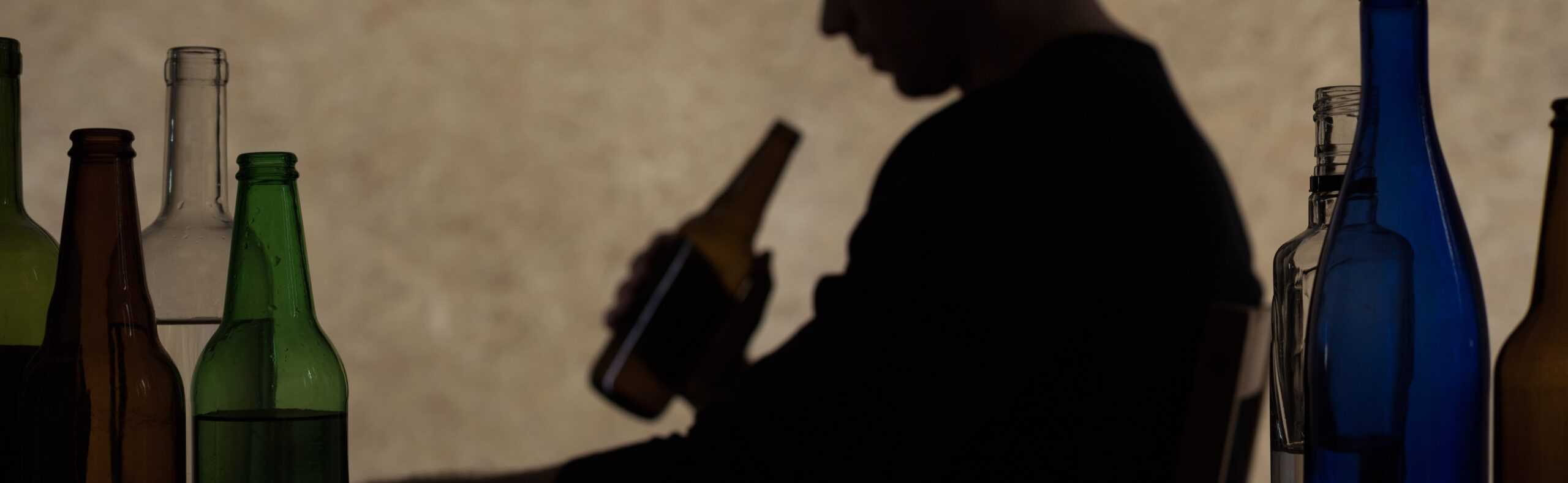 Closet Alcoholic Behavior Dandk Organizer